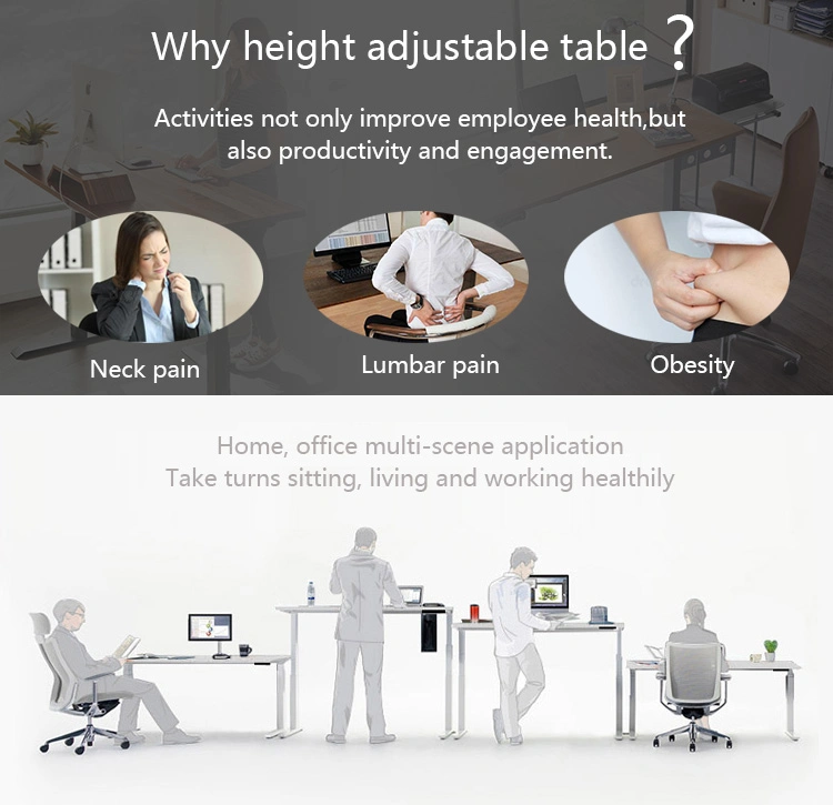 Electric Standing Desk Office Height Adjustable Sit Stand Desk Frame